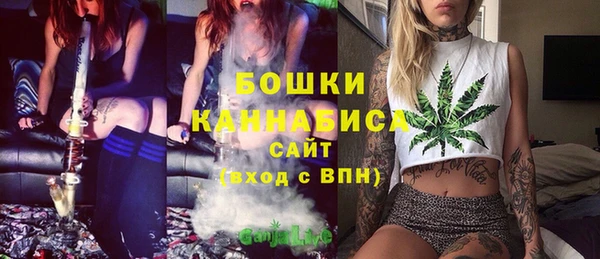 сатива Лихославль