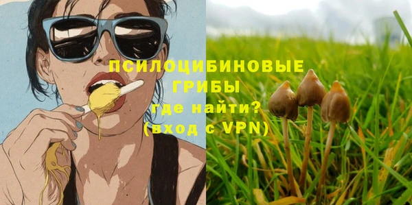 сатива Лихославль
