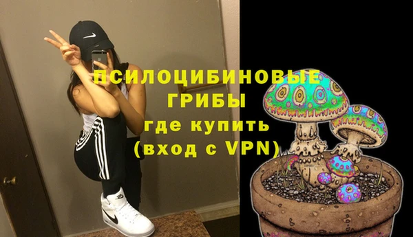 ECSTASY Лагань