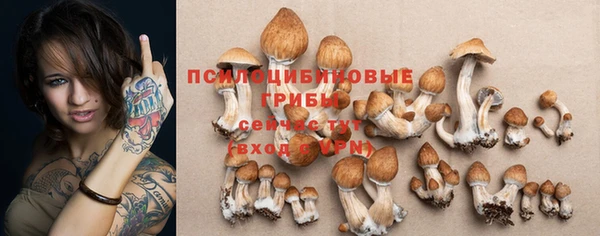 сатива Лихославль