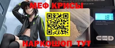 индика Кингисепп