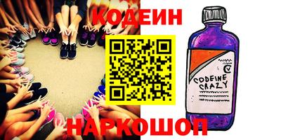 индика Кингисепп