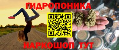 ГАЛЛЮЦИНОГЕННЫЕ ГРИБЫ Кинель