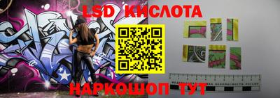 ГАЛЛЮЦИНОГЕННЫЕ ГРИБЫ Кинель
