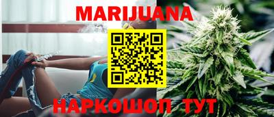 индика Кингисепп