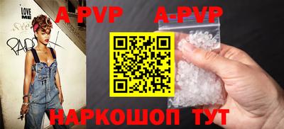 индика Кингисепп