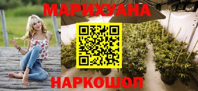 индика Кингисепп