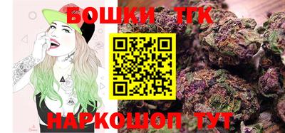 индика Кингисепп