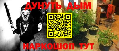 ГАЛЛЮЦИНОГЕННЫЕ ГРИБЫ Кинель