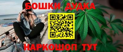 ГАЛЛЮЦИНОГЕННЫЕ ГРИБЫ Кинель