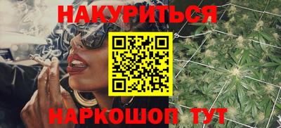 индика Кингисепп