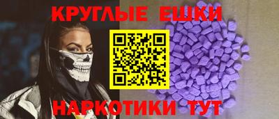 индика Кингисепп