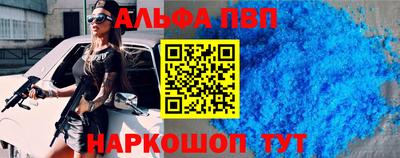 индика Кингисепп