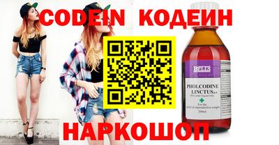 индика Кингисепп