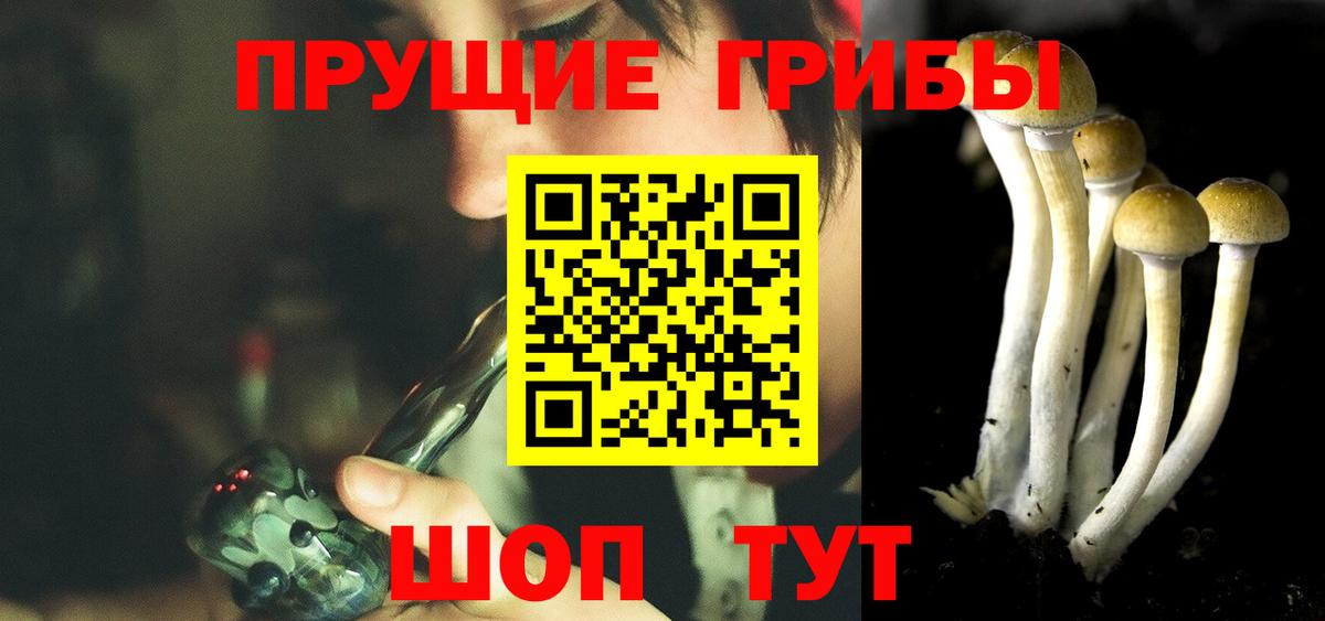 Псилоцибиновые грибы MAGIC MUSHROOMS  Вход с VPN  Чернушка 